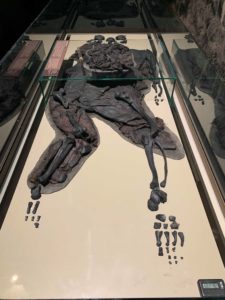 Mummy Bog Body